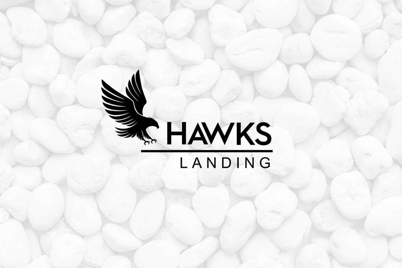 hawks landing logo